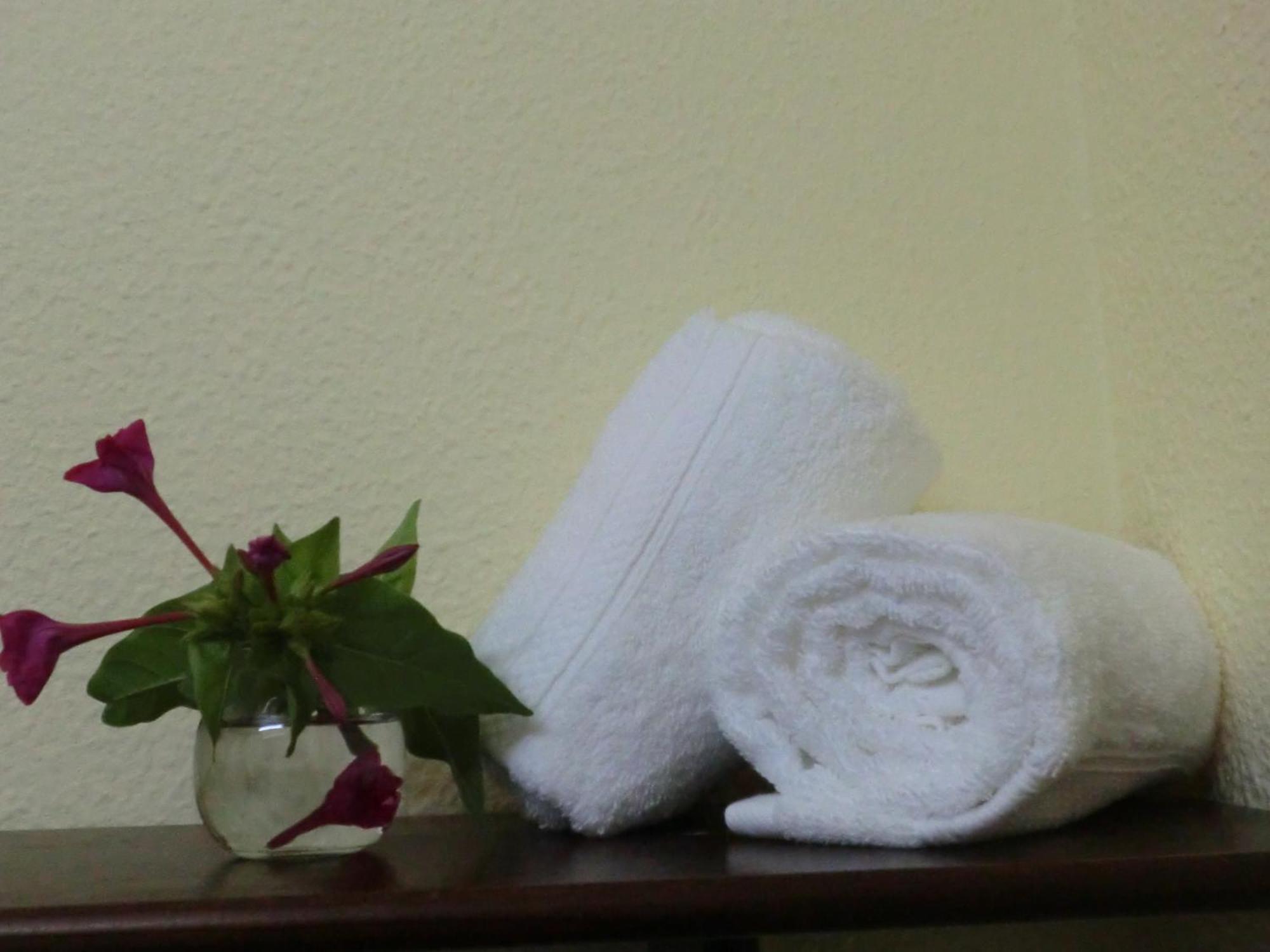 Varandas De Alter Hotel & Spa Alter do Chão Zewnętrze zdjęcie
