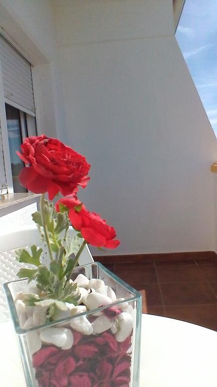 Varandas De Alter Hotel & Spa Alter do Chão Zewnętrze zdjęcie